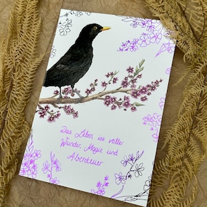 Karte Grußkarte Amsel Singvogel Vogel pink Wunder Abenteuer Magie schönes Leben moni goes wild