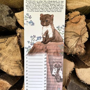 Kalender 2025 Waldtiere Wildtiere monigoeswild Aquarell