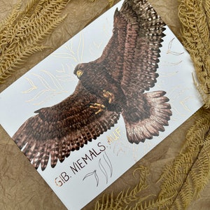 Grußkarte Karte Adler Schreiadler Vogel Gib niemals auf nicht aufgeben Mut Wildtiere moni goes wild