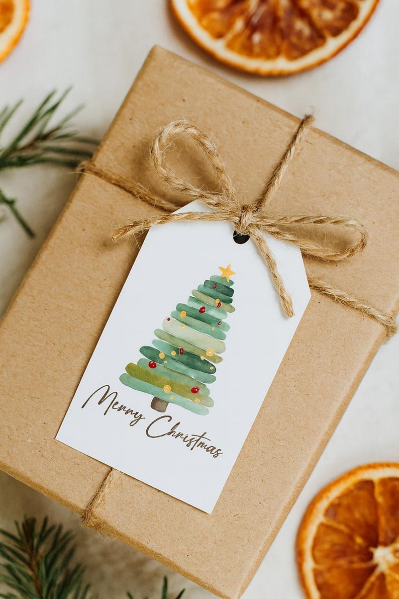 Puede incluir: Un regalo de Navidad envuelto en papel marr&oacute;n, atado con hilo de bramante y una etiqueta blanca. La etiqueta presenta un dise&ntilde;o de &aacute;rbol de Navidad en acuarela con las palabras "Merry Christmas". Rodajas de naranja secas y vegetaci&oacute;n en el fondo.