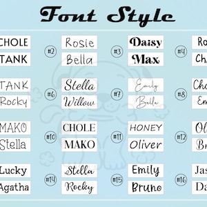 May include: A chart with 16 different font styles for names. Each style is numbered and includes a sample name. The font styles range from simple block letters to more decorative cursive styles.