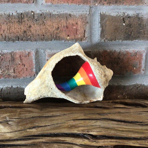 Pride Shell, LGBTQ Home Decor, LGBTQ Beach Art, LGBTQ Ornament, Rainbow Art, Gay Pride, Lgbtq Gift, Lesbian Art, Gay Art, Lgbtq Handmade Art