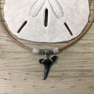 Real Fossilized Shark Tooth Necklace Florida Fossil Small Jewelry Boy Girl Youth Child Surfer Genuine Woman’s Leather Silver