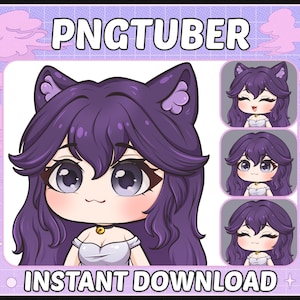 Cute Girl Pngtuber Model | Ready to use | Premade PNG tuber model | Chibi Catgirl model | Purple hair