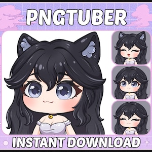 Cute Girl Pngtuber Model | Ready to use | Premade PNG tuber model | Chibi Catgirl model