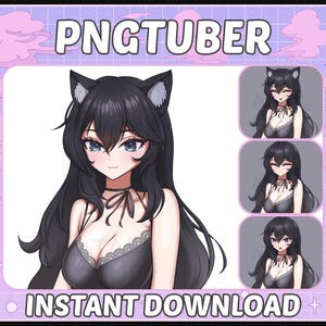 Cute Girl Pngtuber Model | Premade PNGTuber Avatar Model for Streamers | Reactive PNG | Black Hair Catgirl model