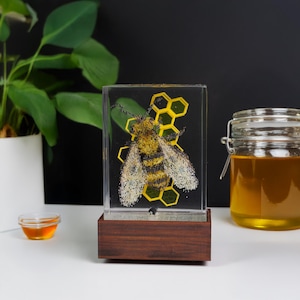 Honey Bee Resin Lamp for Bee keepers - Unique Bug Desk Sculpture