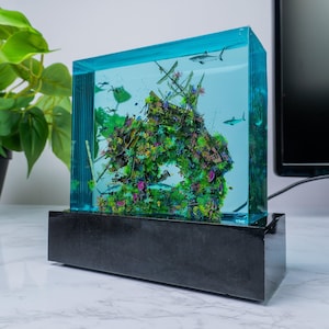 May include: A rectangular resin sculpture featuring an underwater scene with a shipwreck, sharks, and divers. The sculpture is encased in a clear, turquoise-colored resin and sits on a black base. The shipwreck is detailed with colorful coral and plant life.