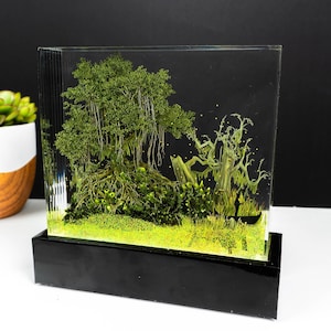 Könnte beinhalten: Ein Miniatur-Diorama einer Waldszene, eingeschlossen in einem transparenten, rechteckigen Block. Die Szene zeigt einen detaillierten Baum mit hängenden Wurzeln, üppigem grünem Laub und einem schwarzen Sockel. Der Hintergrund ist dunkel.
