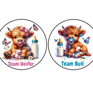 May include: Two round stickers with cartoon images of baby Highland cattle. The sticker on the left features a female calf with a pink pacifier and the text "Team Heifer". The sticker on the right features a male calf with a blue pacifier and the text "Team Bull".