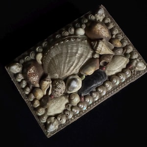 Puede incluir: Caja rectangular decorada con diversas conchas marinas en tonos beige, marrón y blanco. La caja está enmarcada con pequeñas conchas en espiral y presenta una gran concha en forma de abanico en el centro. El diseño es intrincado y detallado.