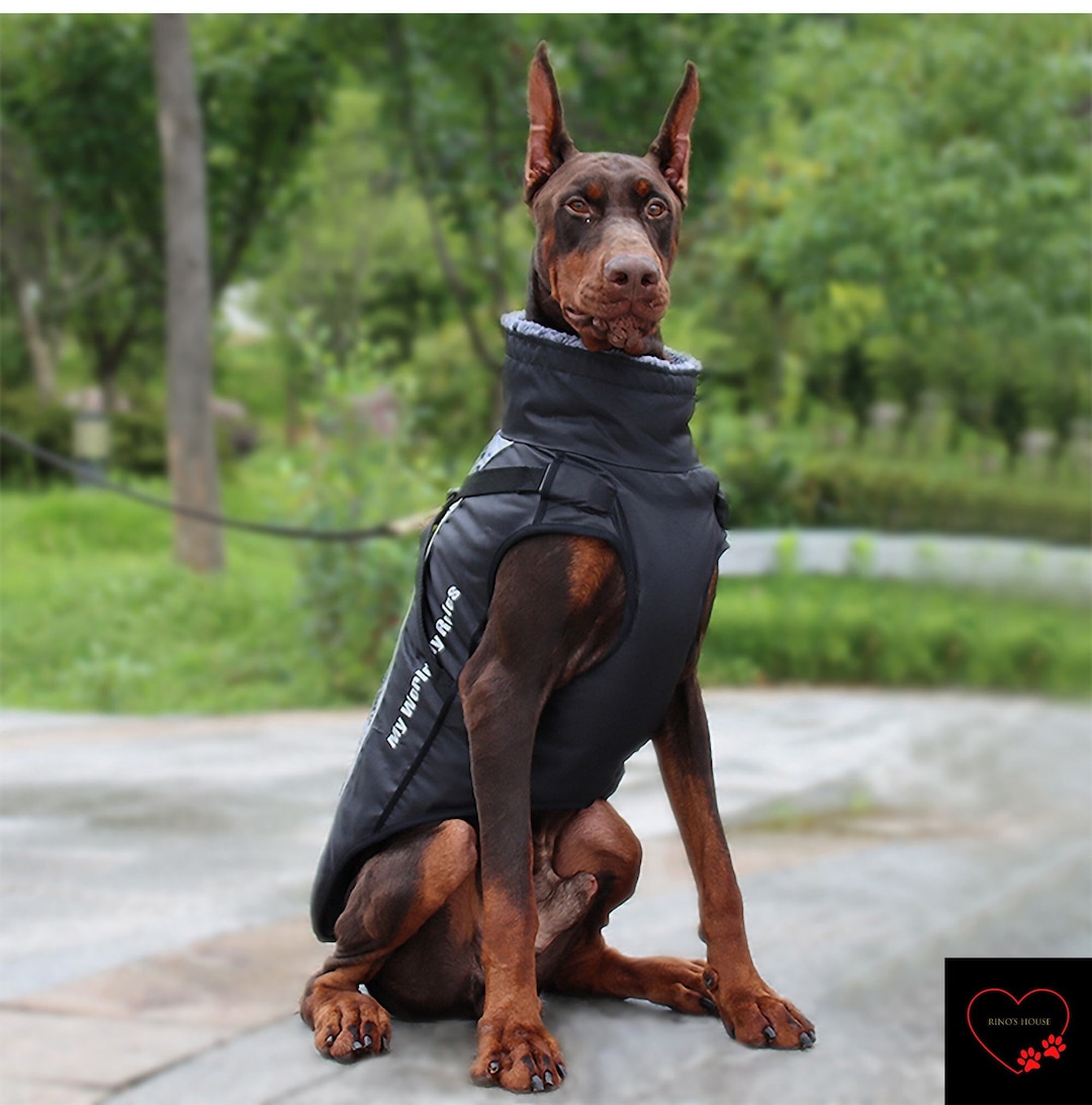 Dog Jacket Waterproof Dog Coat Dog Jacket Winter Dog Coats Etsy