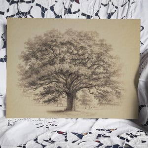 Vintage Tree Sketch Art Forest Moody Landscape Drawing, Giclée Print, Earth Tones Country Art Thick 330 gsm  Matte Fine Art Paper Print #101