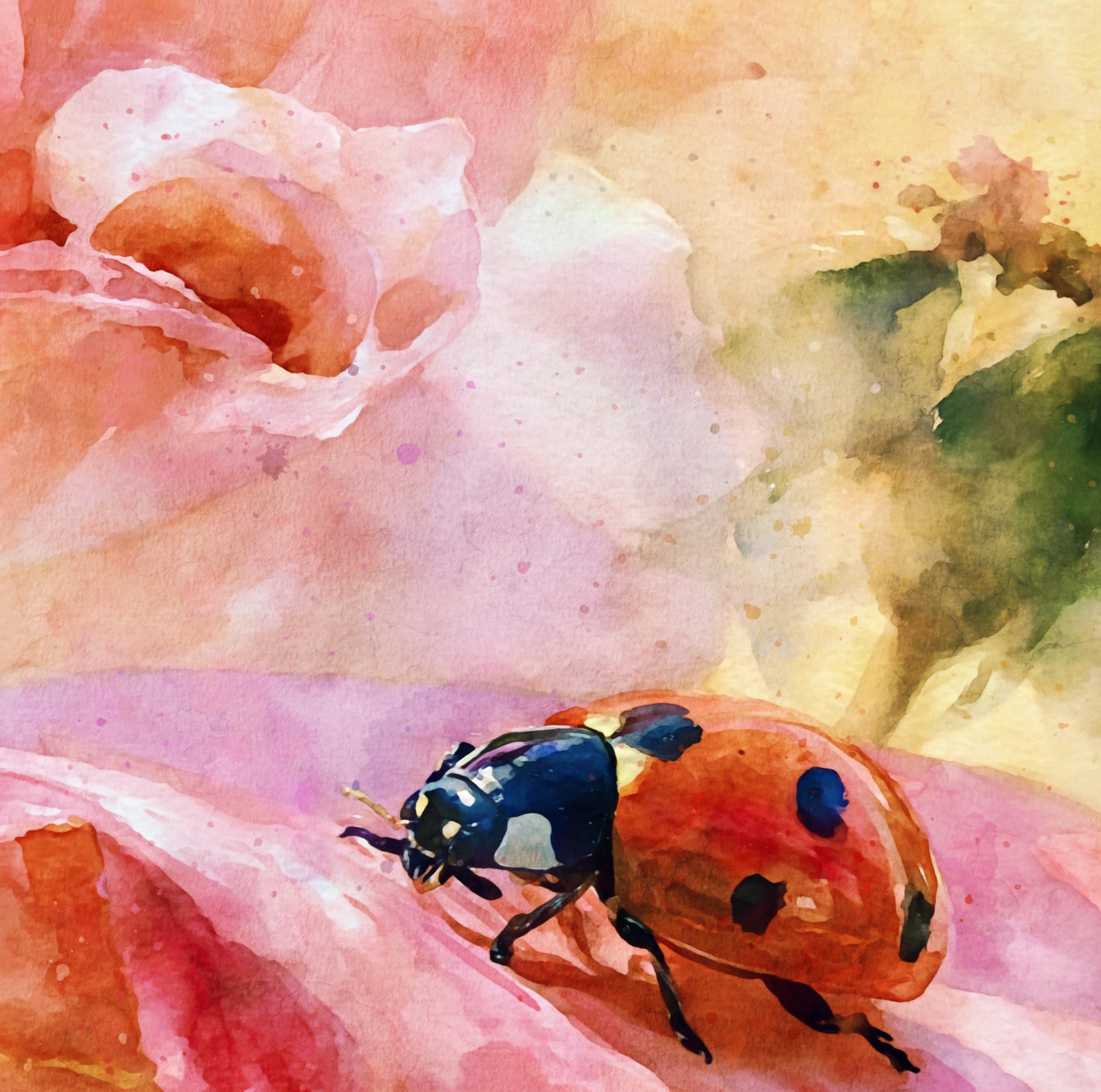 Watercolor Ladybug Rose Poster, Cottagecore Nature Art Print, Floral ...