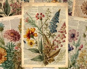 Vintage Wildflowers ATC Cards, Floral Journaling Cards, Printable Inserts Ephemera, Botanical Junk Journal & Scrapbooking Supplies