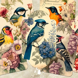 Vintage Wildvögel Tags, Journaling Tags, Garten druckbare Einsätze und Ephemera, Vögel Geschenkanhänger, Woods Junk Journal & Scrapbooking Zubehör