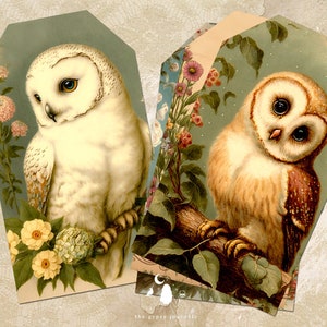 vintage Baby Owl Tags, Hibou Journaling Tags, Birds Printable Inserts and Ephemera, Woodland Gift Tags, Junk Journal et Scrapbooking Supplies