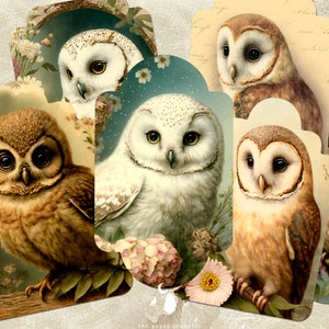 vintage Baby Owl Tags, Hibou Journaling Tags, Birds Printable Inserts and Ephemera, Woodland Gift Tags, Junk Journal et Scrapbooking Supplies