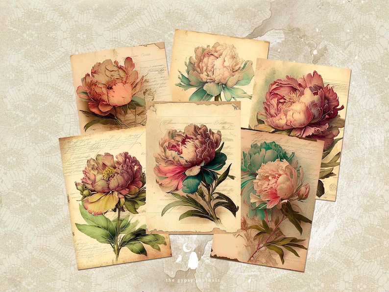 May include: Six vintage illustrations of pink and white peonies on a textured background. Each illustration is on a separate sheet of paper with a faded, handwritten text.