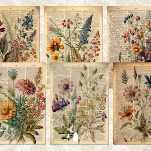K&ouml;nnte beinhalten: Sechs botanische Vintage-Illustrationen verschiedener Blumen auf einem Hintergrund aus alten Buchseiten. Die Blumen sind in den Farben Rosa, Lila, Blau, Gelb und Orange gehalten.
