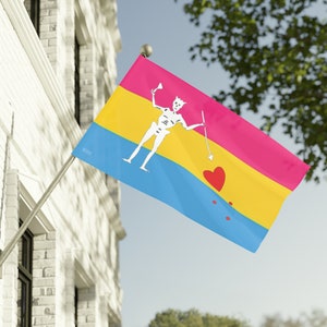 Our Flag Means Death Blackbeard Pansexual Pride Flag ONE SIDE ONLY