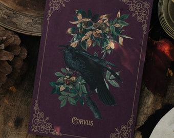 Carte postale Corbeau Mystique Vintage