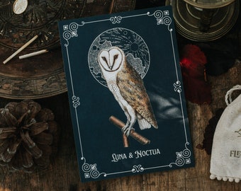 Postcard owl and moon Dark Academia