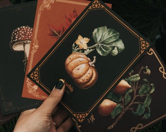 Set de cartes postales automne 5 cartes postales - citrouille érable châtaignier poire champignon