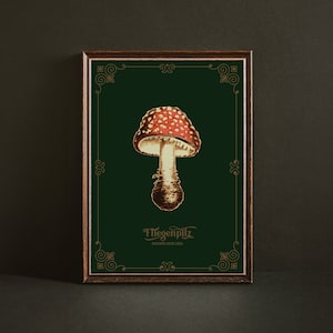 Poster Fliegenpilz Herbstdeko Hexe