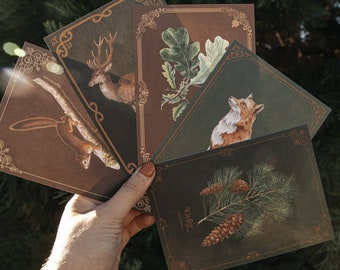 Postcard set forest 5 postcards - fox squirrel oak pine deer