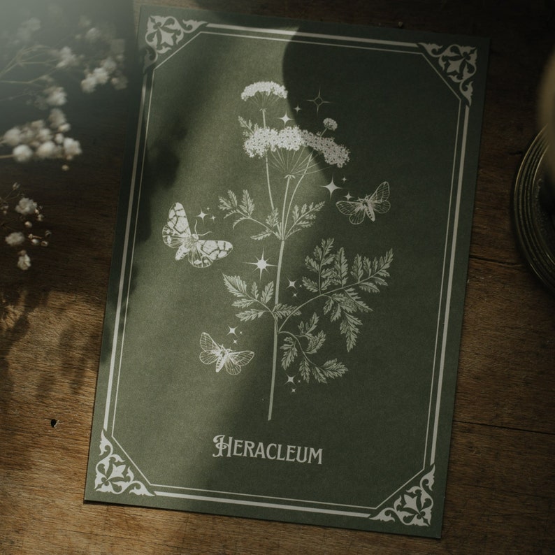 Postkartenset Magischer Garten Cottagecore Blumen Magie Bild 3