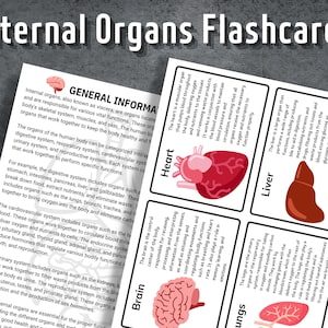 Innere Organe Memory Karten, Organe zum Selbstdrucken, Vorschule Karteikarten, Instant Download