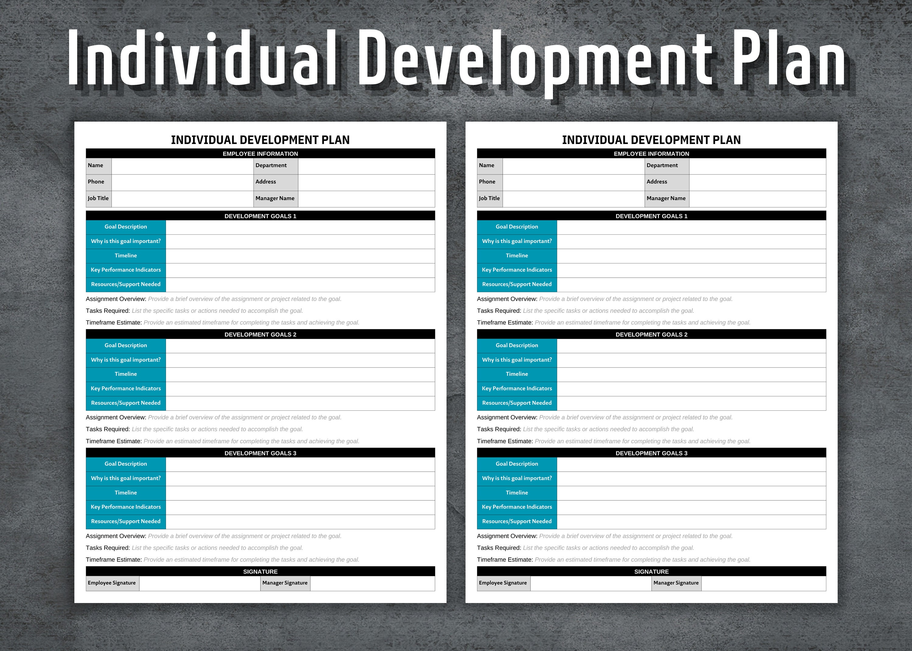 Individual Development Plan Printable Developing Employees HR