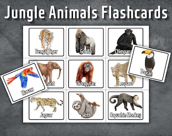 Jungle Animals Flashcards, Preschool Flashcards, Printable Montessori Cards, Animals Flash card, Homeschooling, 27 Cards, Animals Cards