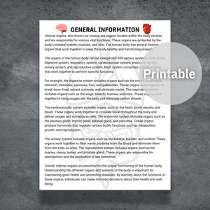 Internal Organs Flash Cards, Printable Human Organs Cards, Preschool ...