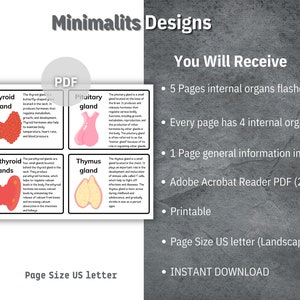 Internal Organs Flash Cards, Printable Human Organs Cards, Preschool ...