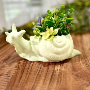Snail Succulent Planter