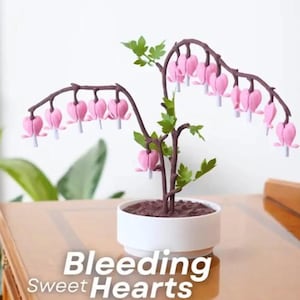 Bleeding SweetHearts | Valentine&#39;s Day Gifts | Love Notes Jewelry Box