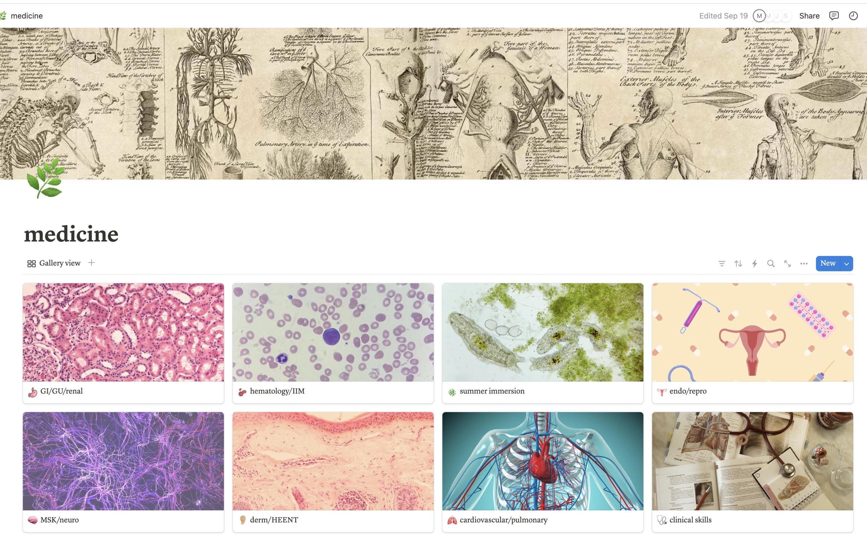 Notion Bio Notes Examples Notes Made Easy: the Ultimate Notion Note Taking Template for Students ...