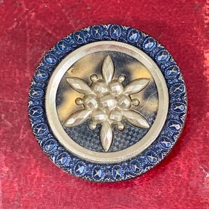 Vintage Cut Steel Floral Button: Celluloid Mock-Tortoiseshell Base
