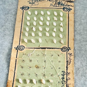 May include: A vintage button card displaying small, white, petal-shaped buttons. The card is green and tan, with decorative borders and handwritten text, including "Regal Series" and "Buttonburn".
