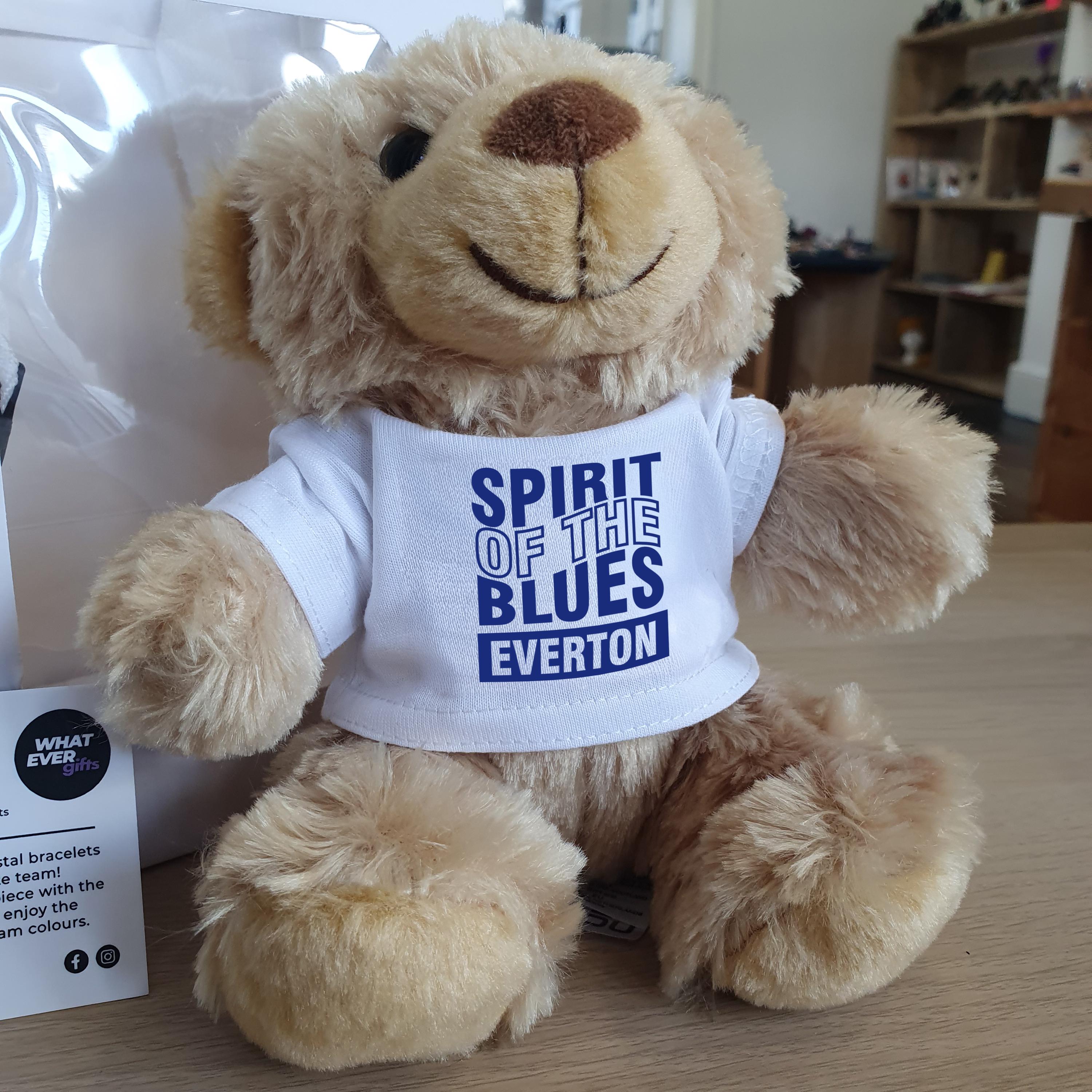 Süsser Teddybär Mit Schal Und Buch 🧸 (Neu (gemäss Beschreibung)) In