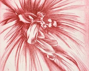 Small Color Drypoint Flower Intaglio Print