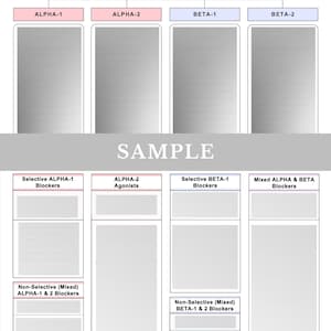 Pu&ograve; includere: Un grafico educativo strutturato intitolato SAMPLE, organizzato in colonne etichettate ALPHA-1, ALPHA-2, BETA-1 e BETA-2. Il layout presenta sottocategorie tra cui Selective ALPHA-1 Blockers, ALPHA-2 Agonists, Selective BETA-1 Blockers, Mixed ALPHA & BETA Blockers, Non-Selective Mixed ALPHA-1 & 2 Blockers e Non-Selective Mixed BETA-1 & 2 Blockers.