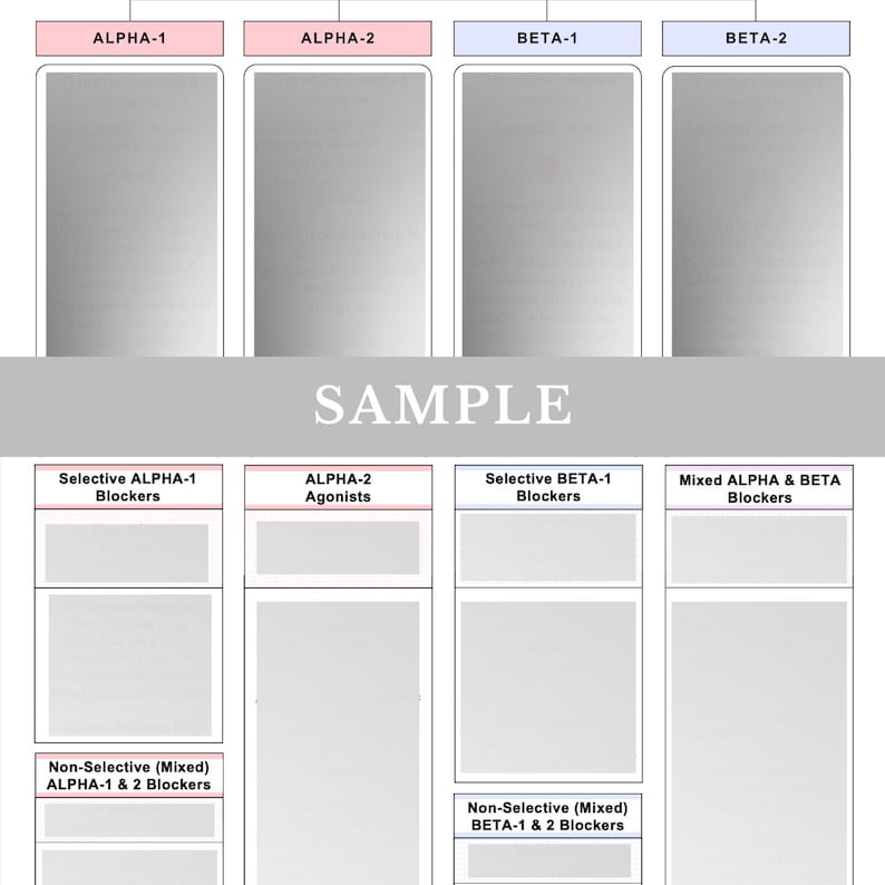 Pu&ograve; includere: Un grafico educativo strutturato intitolato SAMPLE, organizzato in colonne etichettate ALPHA-1, ALPHA-2, BETA-1 e BETA-2. Il layout presenta sottocategorie tra cui Selective ALPHA-1 Blockers, ALPHA-2 Agonists, Selective BETA-1 Blockers, Mixed ALPHA & BETA Blockers, Non-Selective Mixed ALPHA-1 & 2 Blockers e Non-Selective Mixed BETA-1 & 2 Blockers.