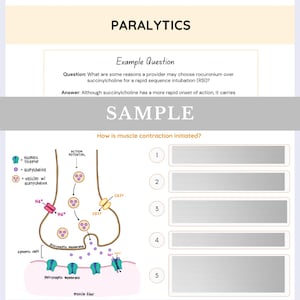 Pu&ograve; includere: Una scheda di studio educativa intitolata PARALYTICS che presenta una domanda di esempio su rocuronio e succinilcolina, seguita da un diagramma che illustra l'inizio della contrazione muscolare con recettori, vescicole e ioni etichettati.