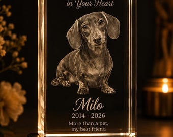 Pet Memorial Photo Crystal, Personalized 3D Dog Engraving, Custom In Loving Memory Gift for Loss of Pet, Crystal Keepsake for Dog Mom