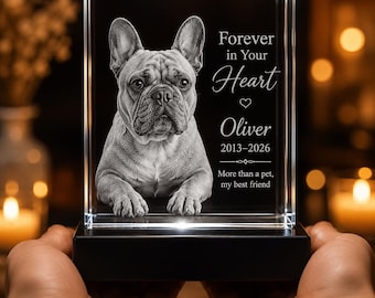 Engraved 3D Crystal Pet Memorial, Custom Dog Photo Portrait Light, Personalized Pet Loss Sympathy Gift, Forever Loved Remembrance Plaque