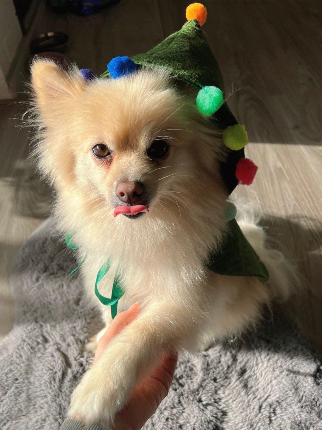 Christmas Elf Costumes for Dogs Christmas Gift for Dog Lovers Etsy