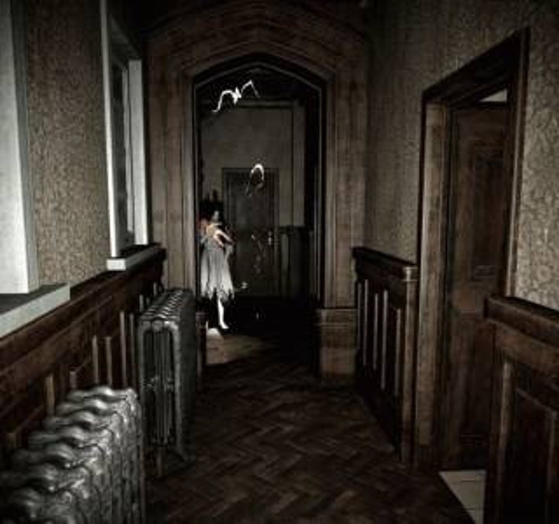 Pacify multiplayer Digital PC Game Etsy